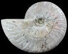 Silver Iridescent Ammonite - Madagascar #51492-1